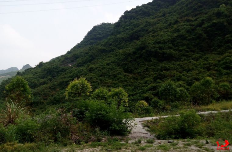 TM截图20150514000121.jpg