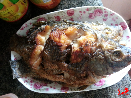 20150518_153143.jpg
