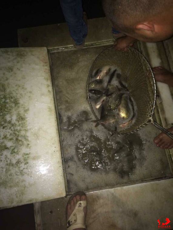 QQ图片20150519201550.jpg