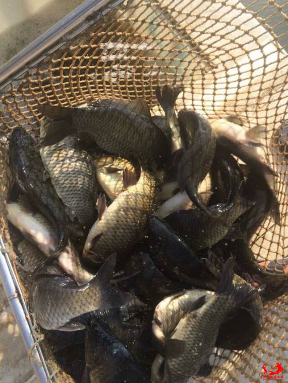 QQ图片20150529170636.jpg