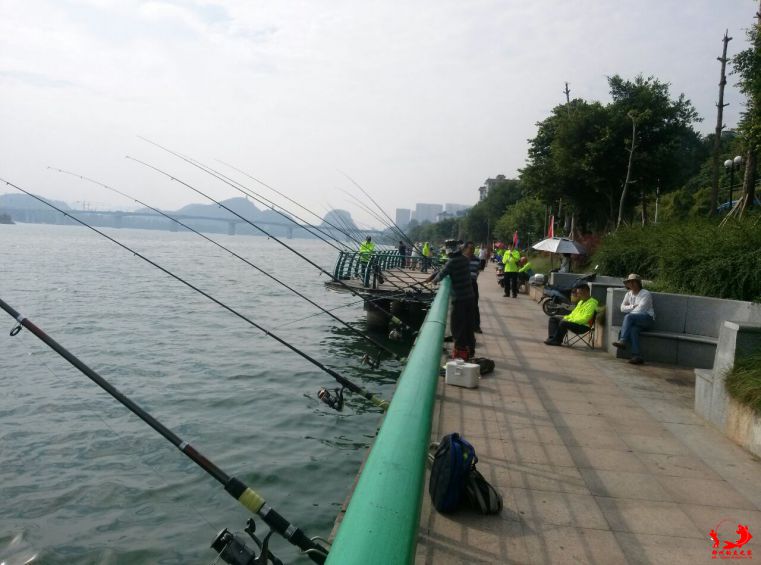 QQ图片20131002183345.jpg