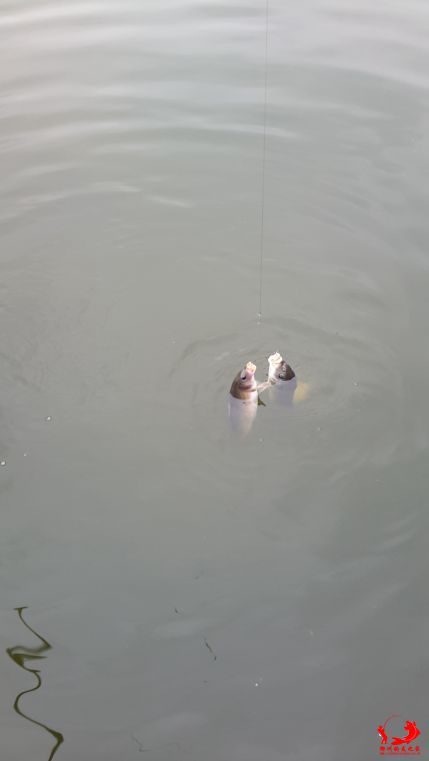 20150327_153302.jpg