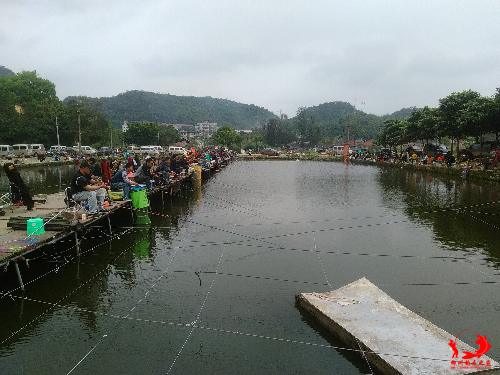 IMG_20150330_115907.jpg
