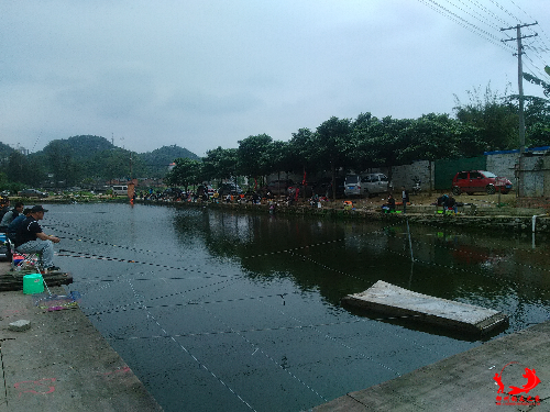 IMG_20150330_115857.jpg