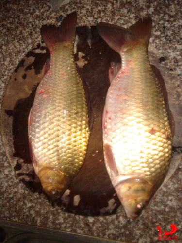 20150405_004401.jpg
