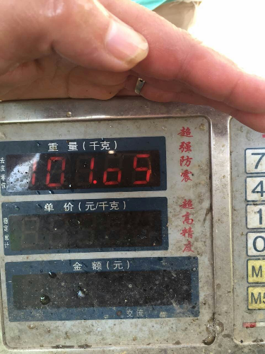 mmexport1440419101126.jpg