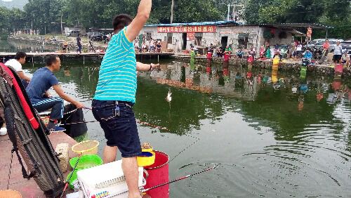 IMG_20150828_092802.jpg