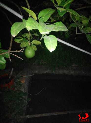 IMG_20150701_204650.jpg
