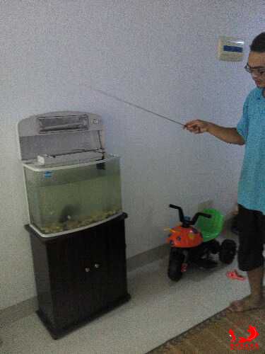 IMG_20150702_184446.jpg