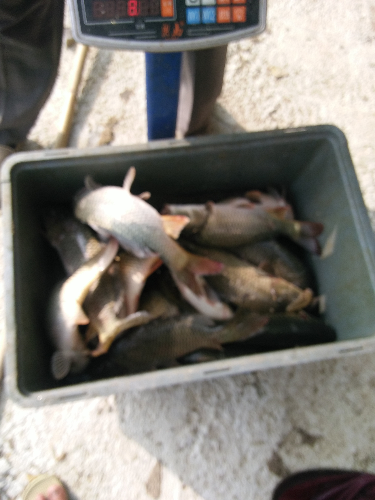 IMG_20150718_164857.jpg