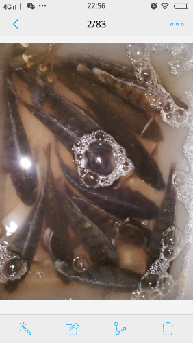 *O_20151109_225636.png
