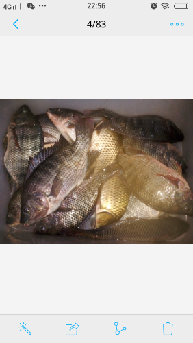 *O_20151109_225641.png