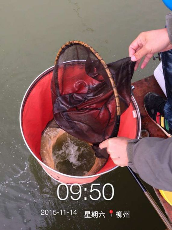 23.jpg