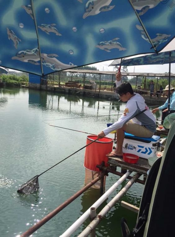 金牌酱油选手阿打.jpg