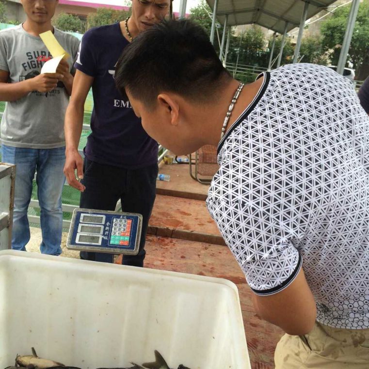 QQ图片20150921191810.jpg