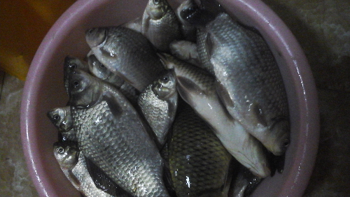 20151222_182947.jpg