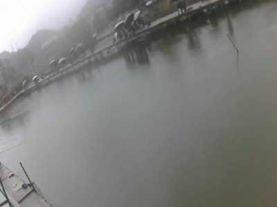 143504603471784947snapshot_small.jpg