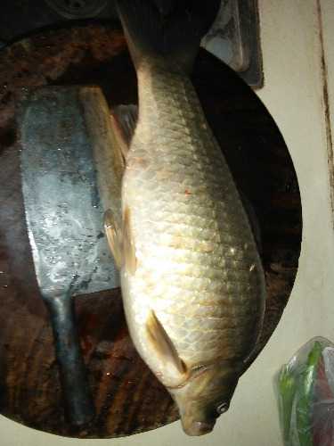 IMG20151214172704.jpg