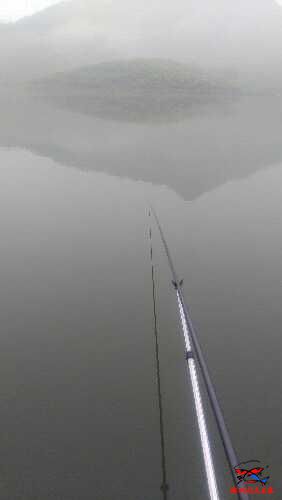 IMG_20160417_073421.jpg