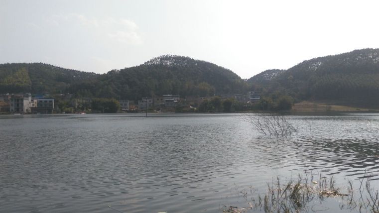 QQ图片20160213090707.jpg
