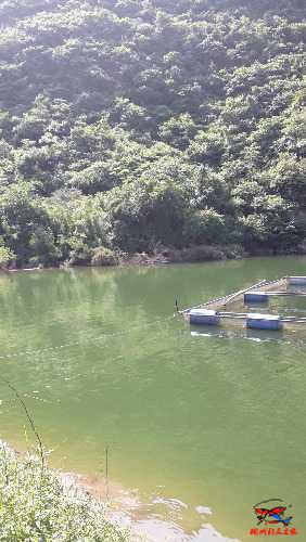 20160527_151915.jpg