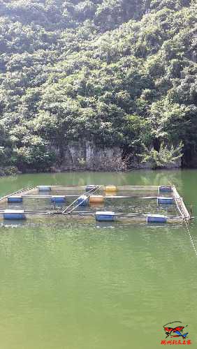 20160527_151656.jpg
