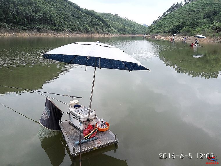 IMG_20160605_120106.jpg