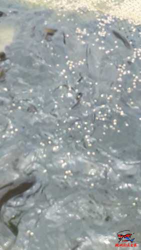20160509_124342.jpg