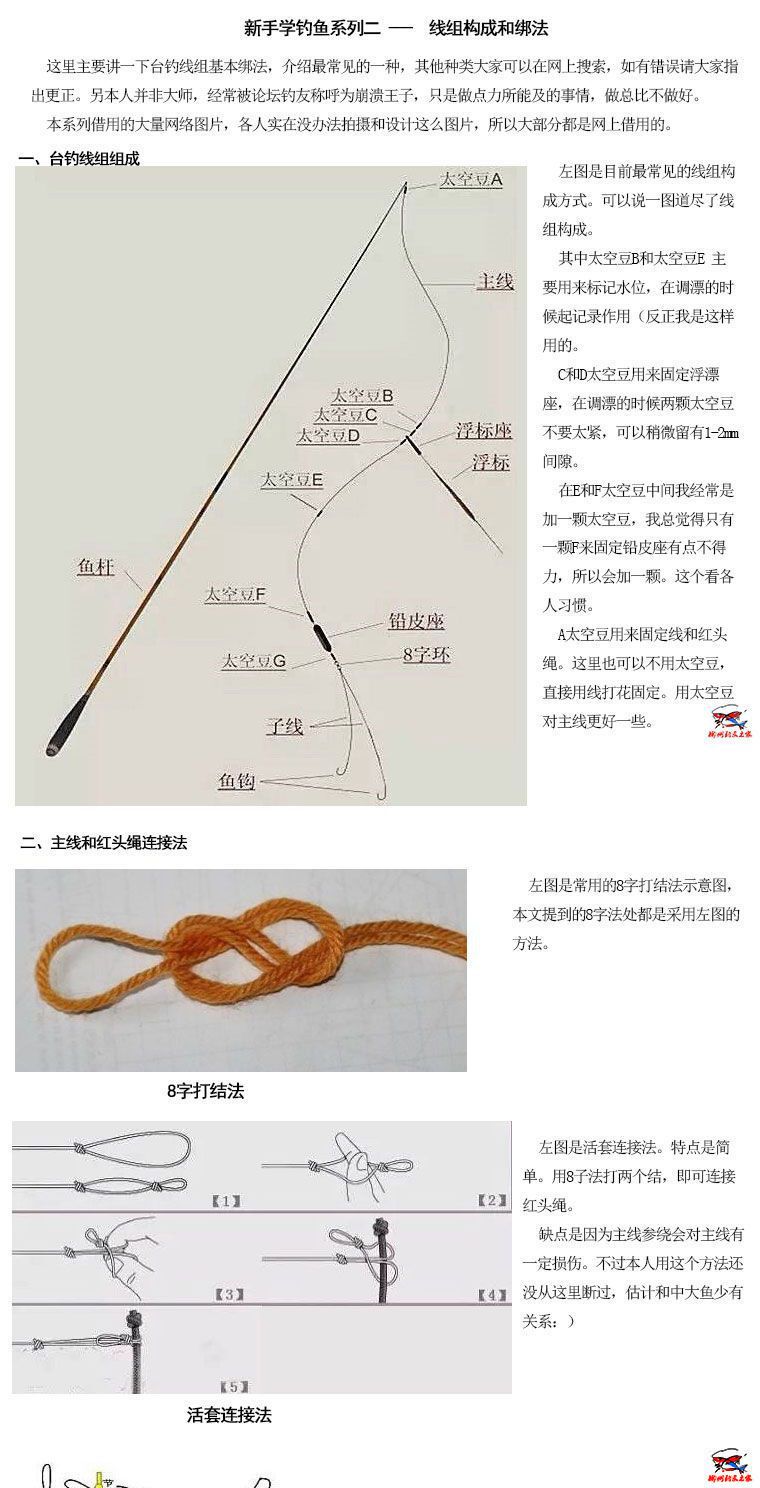 鏂版墜绯诲垪浜