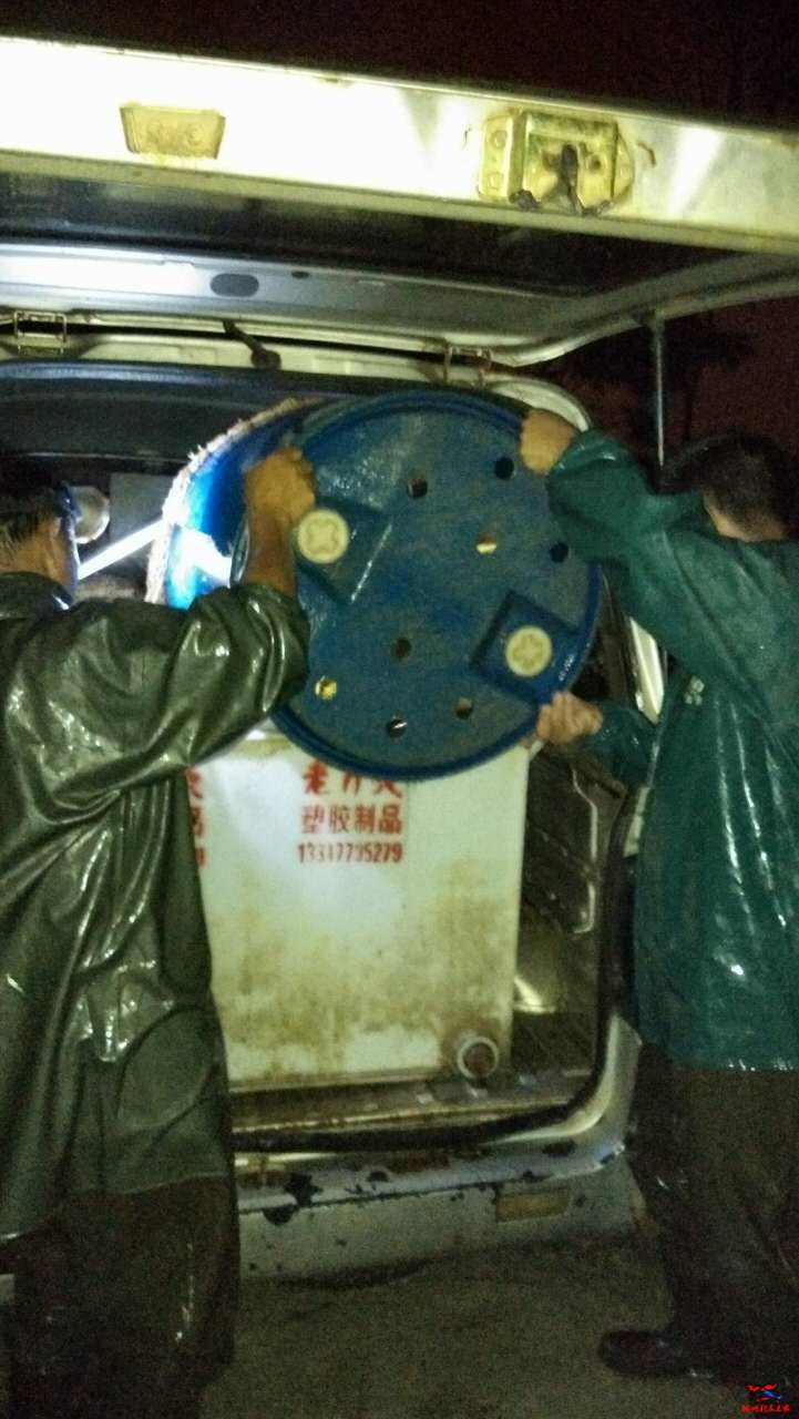 05.jpg