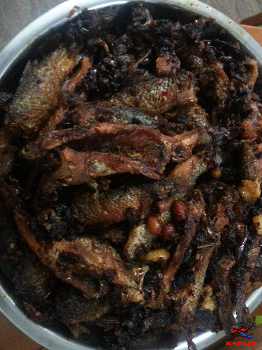 20160514_230137.jpg