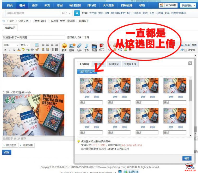 真奇怪-.jpg