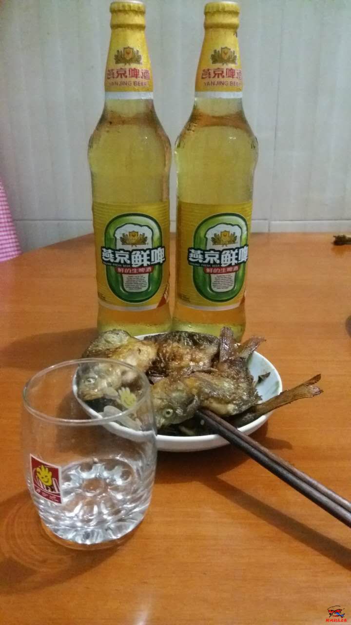 庆祝今天没有光头