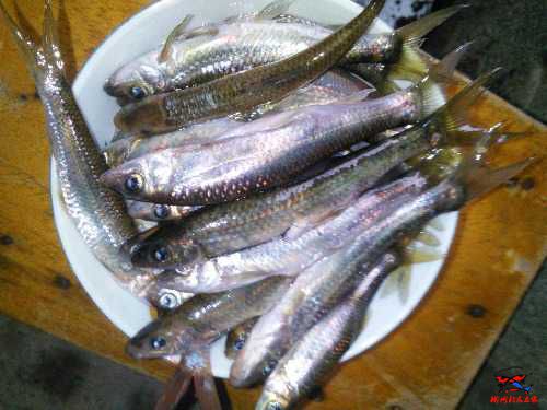 IMG20160803180455_8.jpg