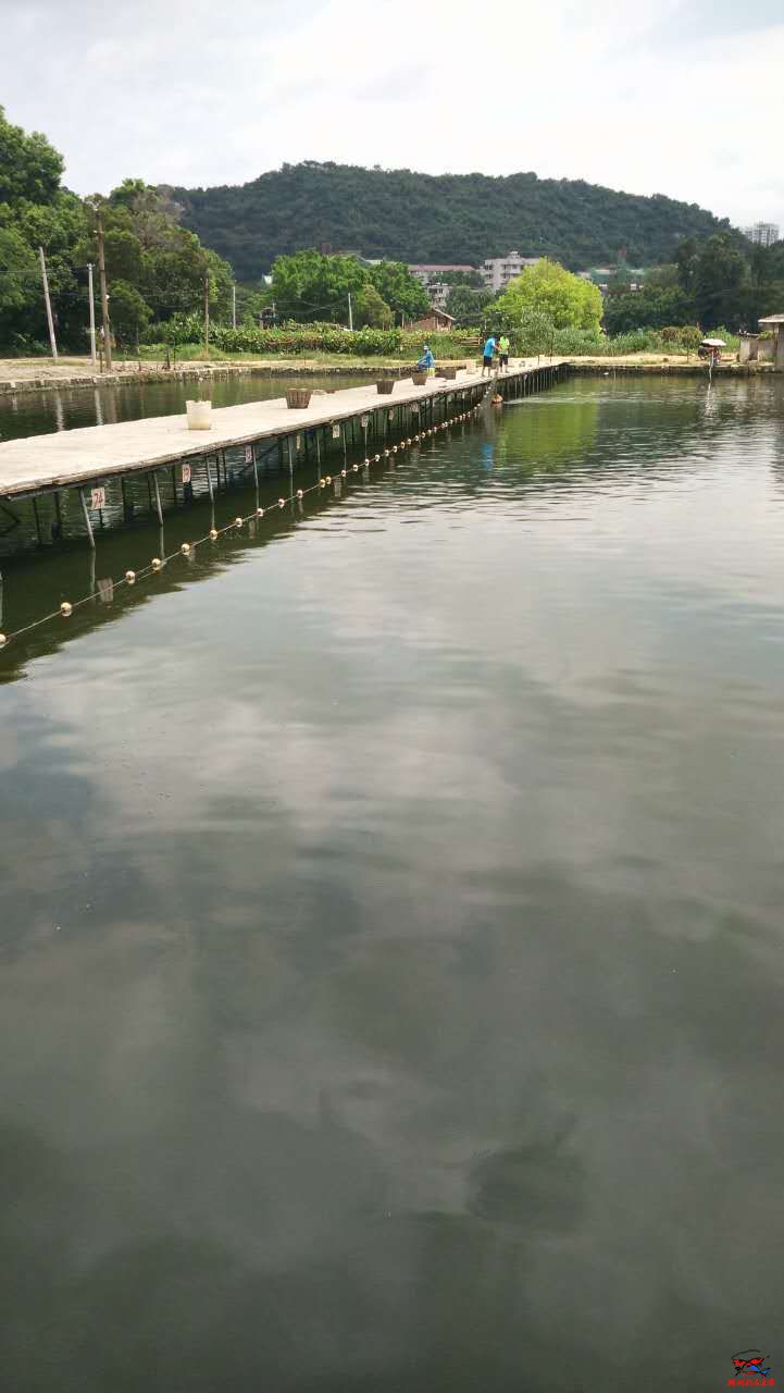 804608298684262112.jpg