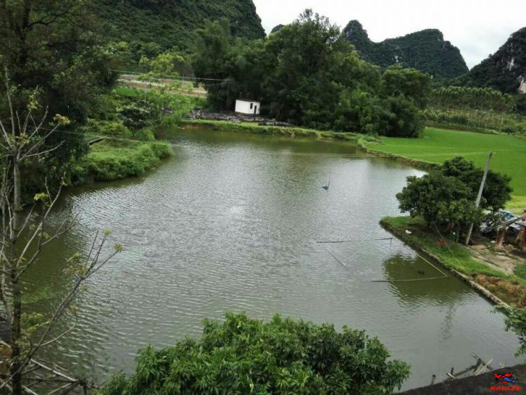 鱼塘2