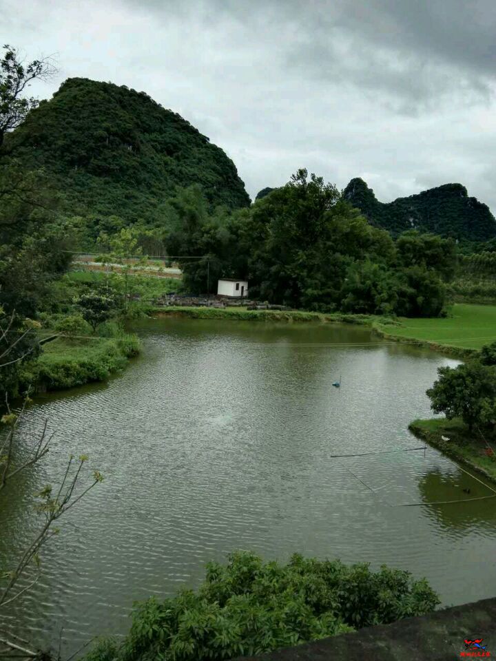 鱼塘3