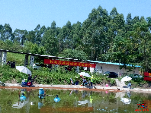 IMG_20160915_124459.jpg