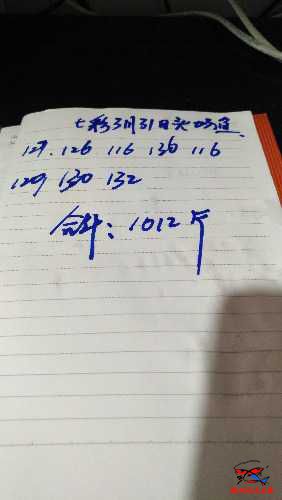 IMG_20170330_180857.jpg