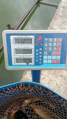 mmexport1500450501727.jpg