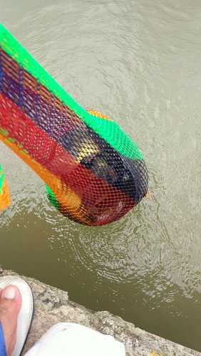 wx_camera_1493622463785.jpg