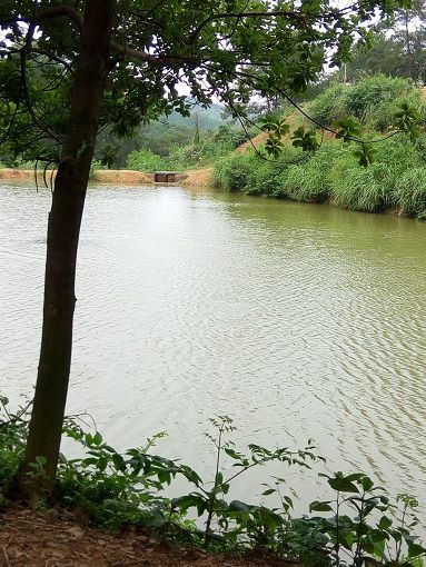 04.jpg