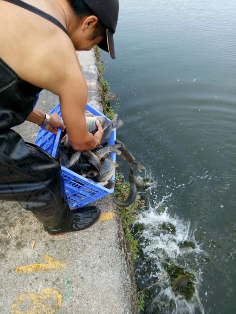 微信图片_20171009171743.jpg