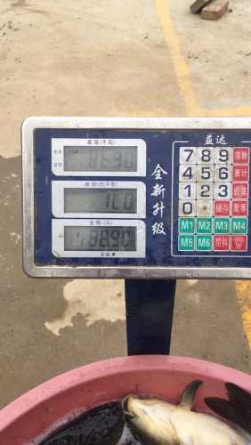A5BF097C-20FF-4D39-A73E-1762F6C7589E-26468-00001A069F24B2C9_tmp.jpg