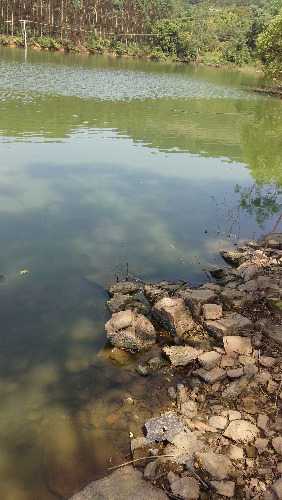 20171006_121417.jpg