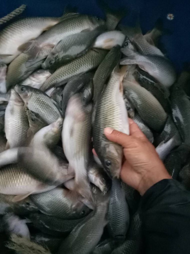 微信图片_20171017201944.jpg