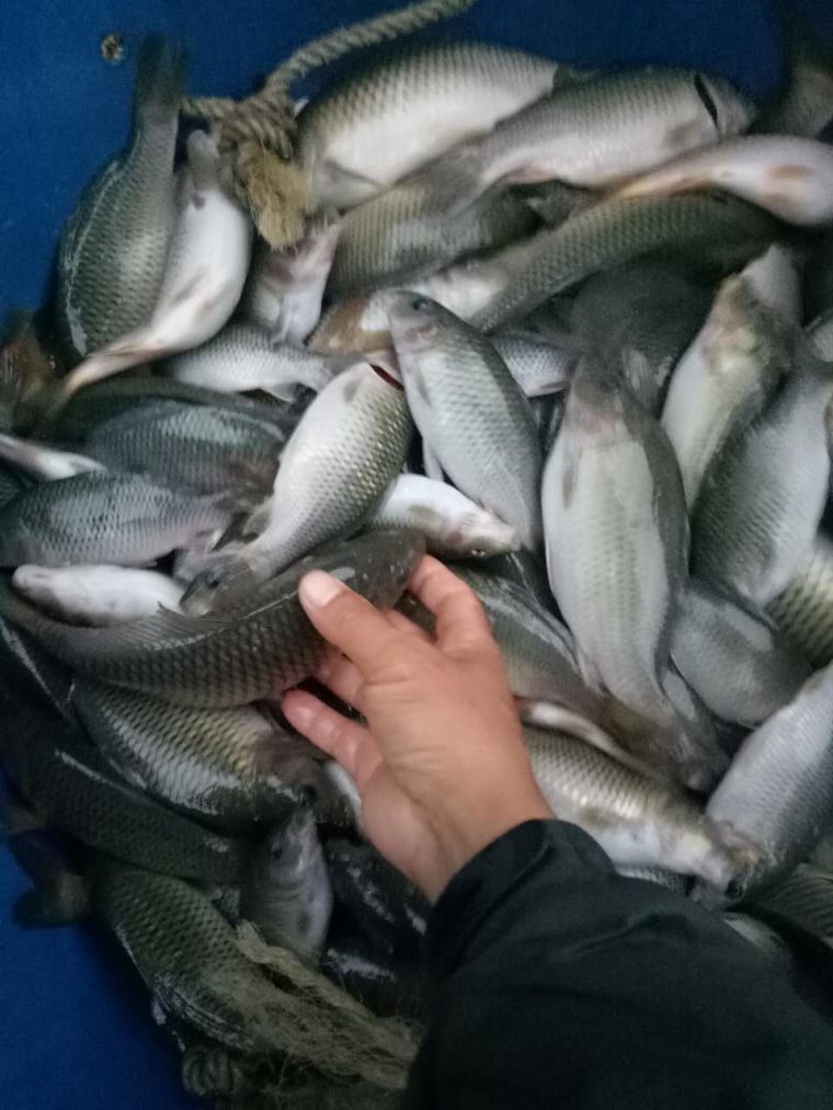 微信图片_20171017201948.jpg