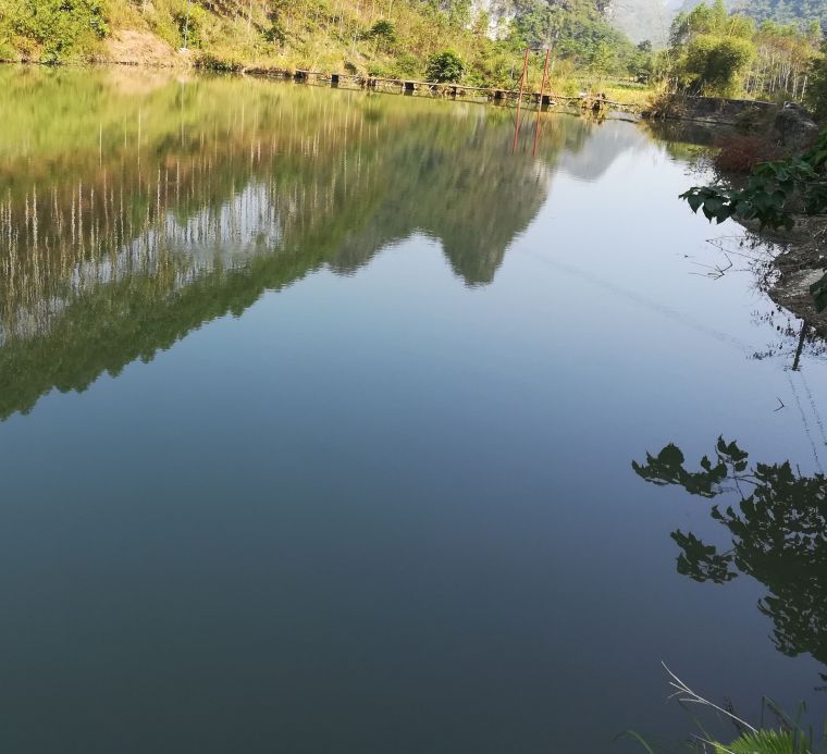 水面