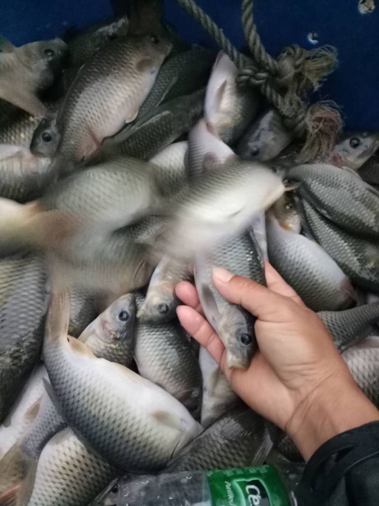 微信图片_20171125203444.jpg