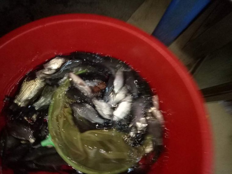微信图片_20180107005335.jpg